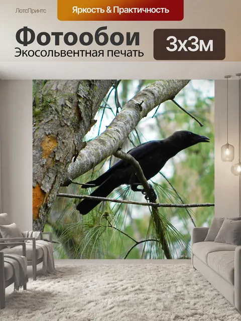 Фотообои Ворона
