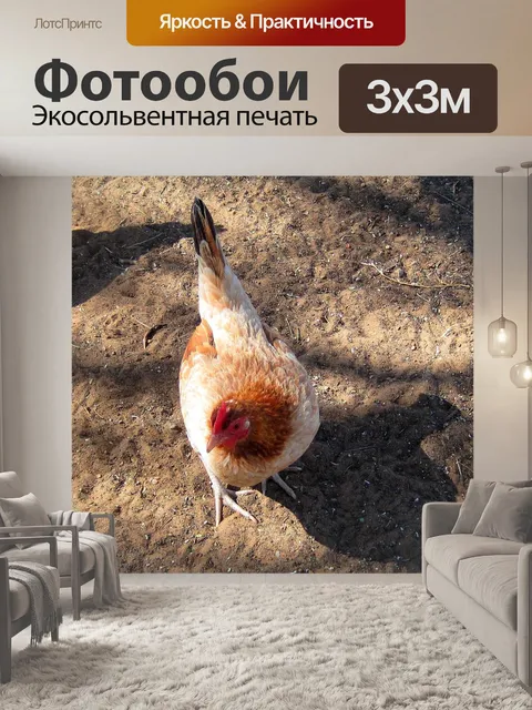 Фотообои блондинка бежевый курица