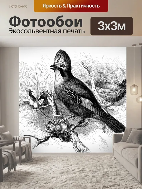 Фотообои Джей