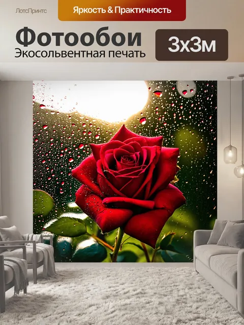 Фотообои красная роза в капле дождя, сверкающая на солнце