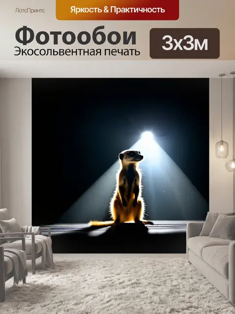 Фотообои Силуэт суриката на сцене, освещённый ярким светом сверху, на темном фоне