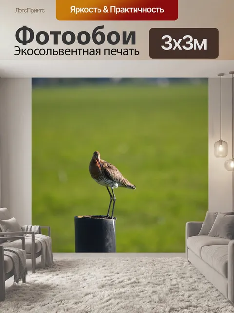 Фотообои Godwit серии 2
