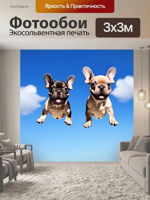 Фотообои на изображении щенки французского бульдога зависли в воздухе на фоне ясного голубого неба