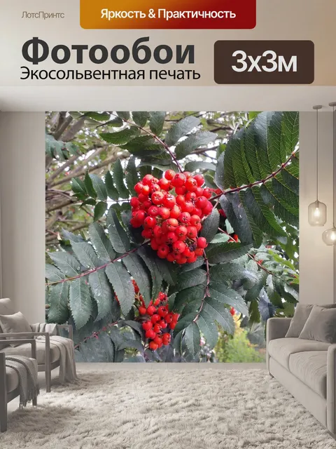 Фотообои Плоды ягод рябины
