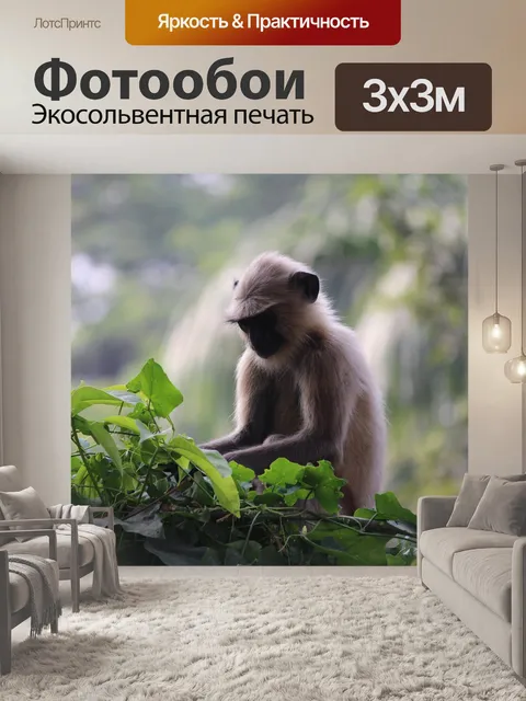 Фотообои Мышление обезьяна
