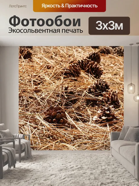 Фотообои Сосновые шишки