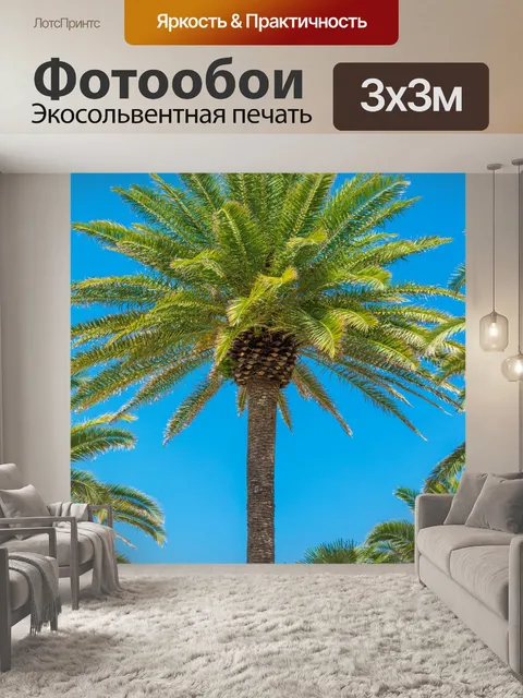 Фотообои Пальмы и голубое небо