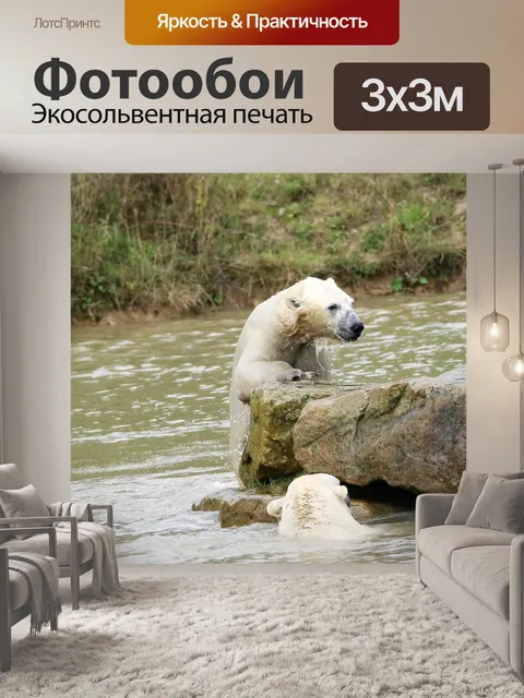 Фотообои Полярный медведь