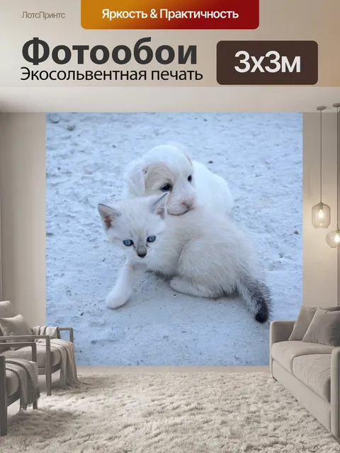 Фотообои Собака
