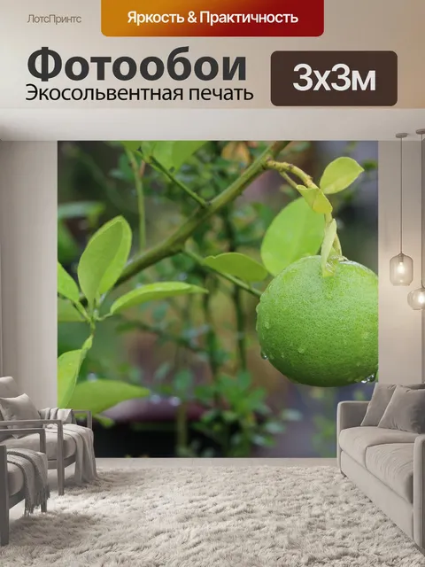 Фотообои Лимон