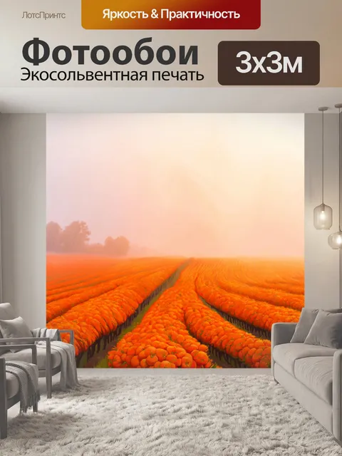 Фотообои оранжевый цвет: утренний туман над оранжевыми полями мандаринов