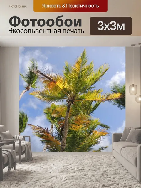 Фотообои пальмы с неба