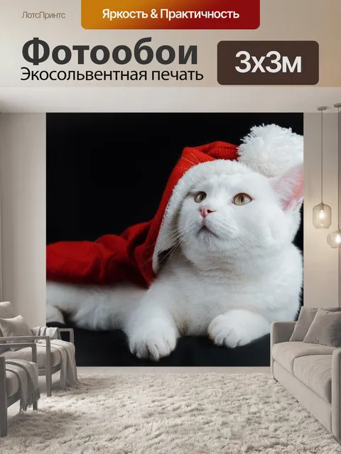 Фотообои Кошка