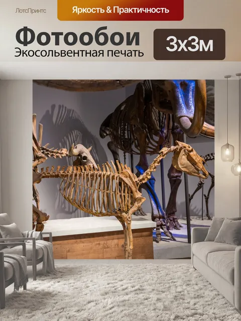 Фотообои Скелеты в музее