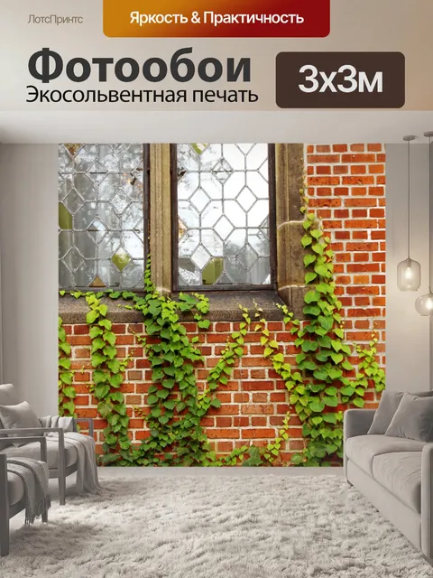 Фотообои Плющ на стене с окном