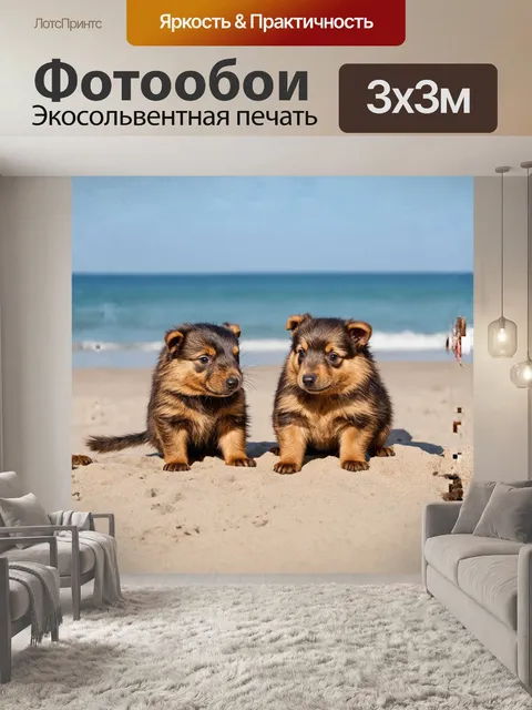 Фотообои **играющие щенки бивер йоркшира на пляже**