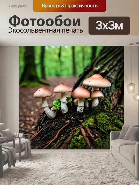 Фотообои розовые грибы, растущие на корнях старого дерева, создавая загадочную атмосферу леса