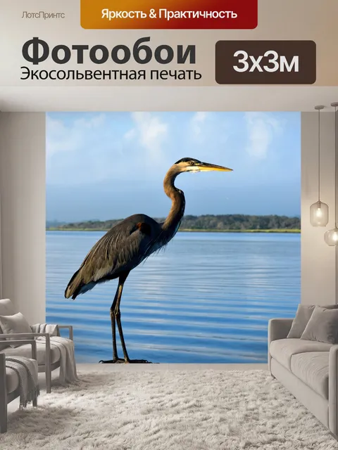 Фотообои Большая голубая цапля