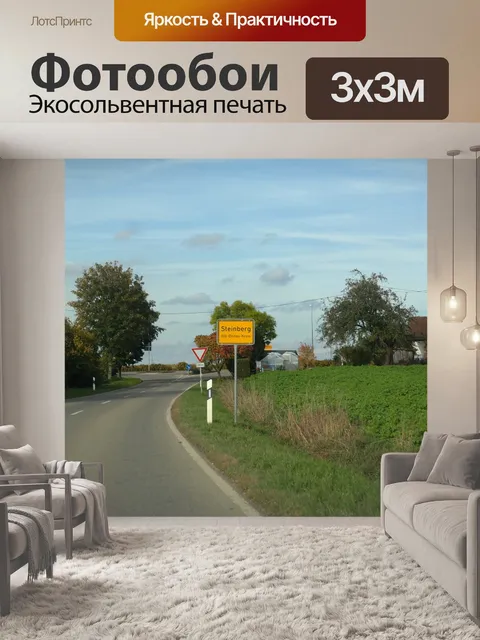 Фотообои Вход