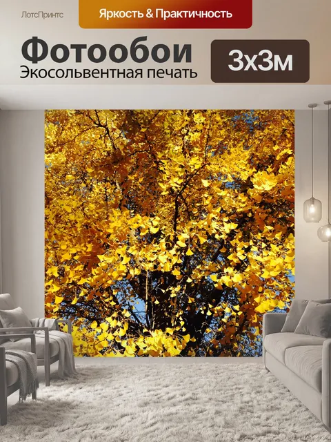 Фотообои Гинкго