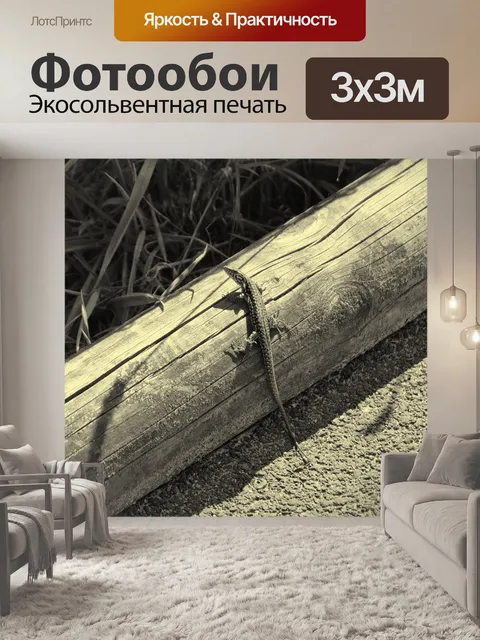 Фотообои Зеленая ящерица