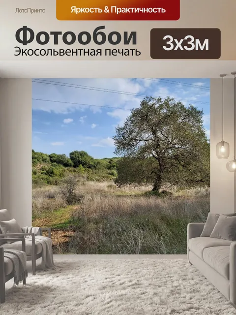 Фотообои Одинокое рожковое дерево в поле