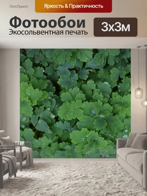 Фотообои Коломбина дождь влажные листья