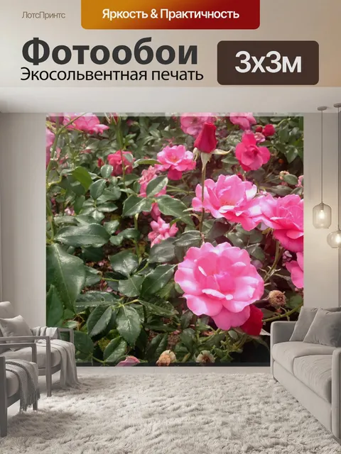 Фотообои Розы Palmengarten