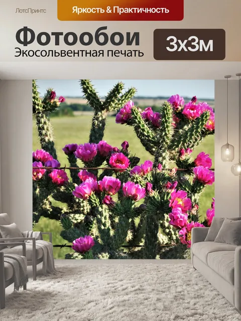 Фотообои Цветет кактус розовое дерево чолла