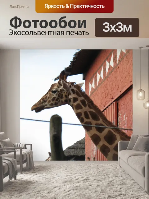 Фотообои Жираф