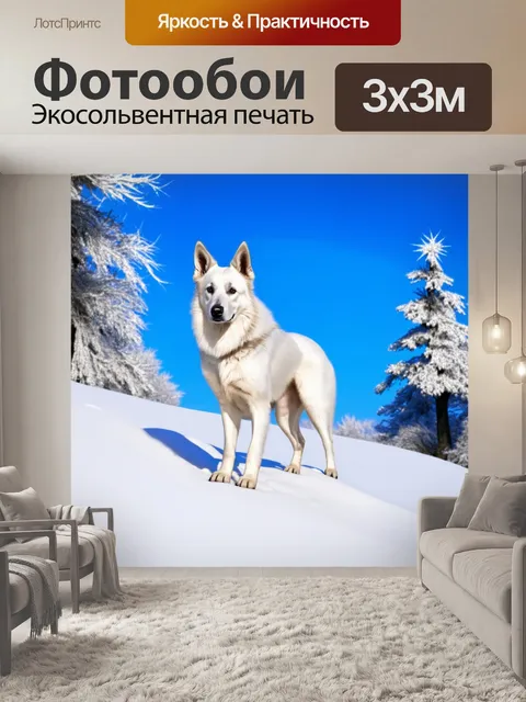 Фотообои одинокая белая овчарка стоит на вершине снежного холма, ее шерсть сверкает на солнце