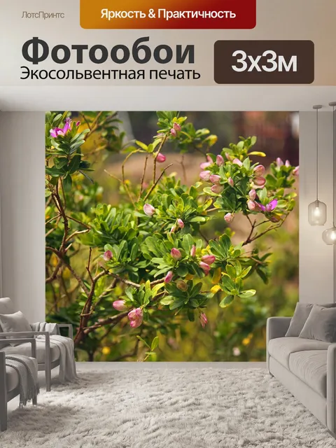 Фотообои Цветущий сентябрьский куст