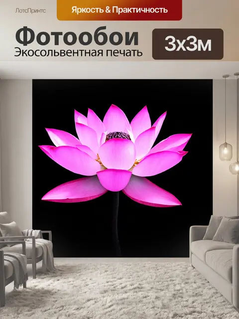 Фотообои черный с изображением розового лотоса на черном фоне, выполненные в технике монохромной живописи