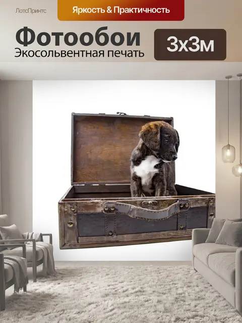 Фотообои Щенок с чемоданом