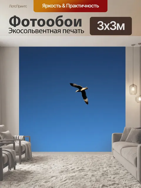 Фотообои Небо