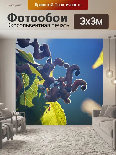 Фотообои солнечный свет на задней части японского