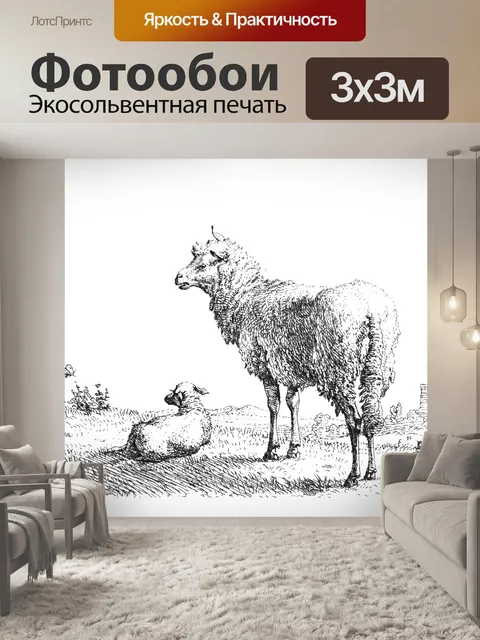 Фотообои Рисунок овец, эскиз