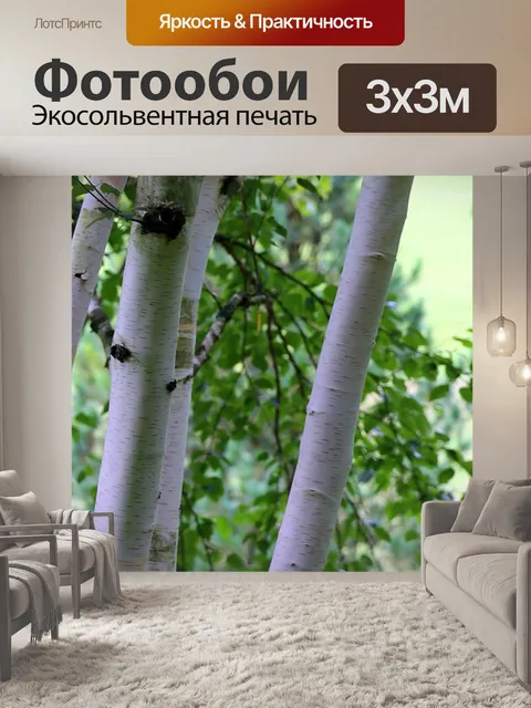Фотообои Гималайская береза
