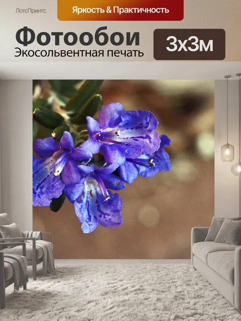 Фотообои синий цветок розмарина на кустарнике