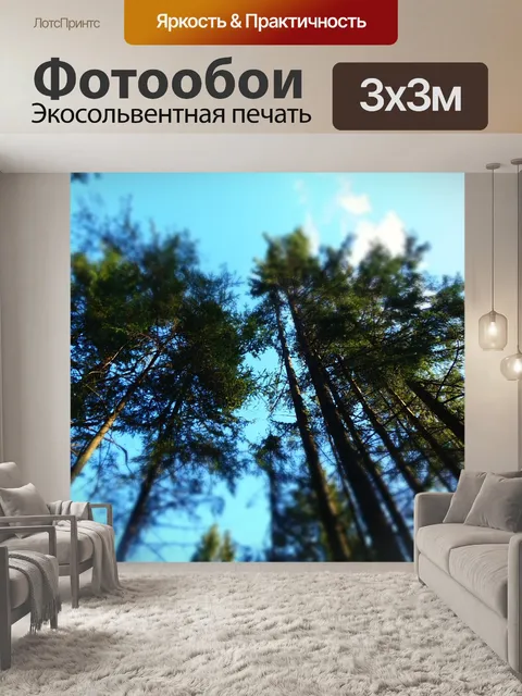 Фотообои Верхушках деревьев