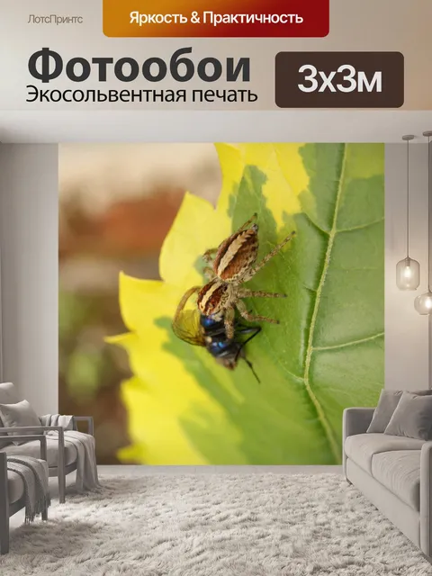 Фотообои Картинки