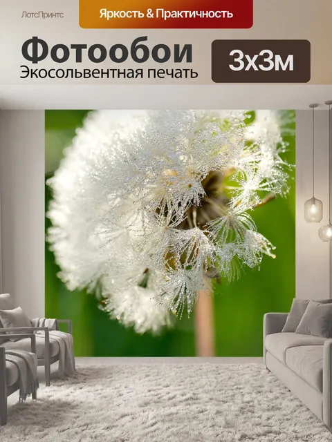 Фотообои Одуванчик