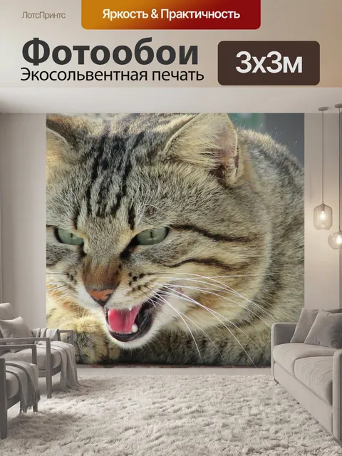 Фотообои Кошка