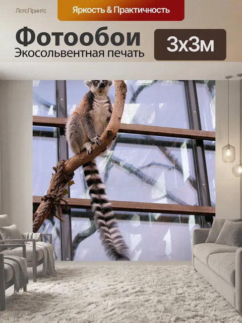 Фотообои Лемур