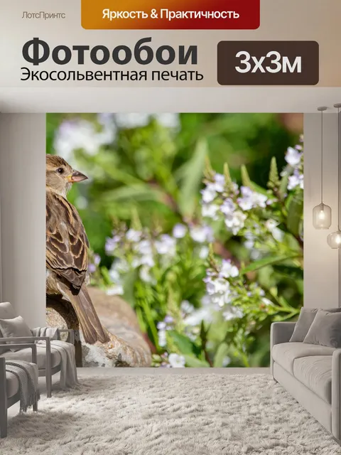 Фотообои Воробей