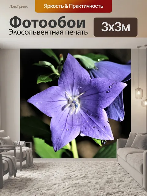 Фотообои Воздушный шар цветок крупным планом