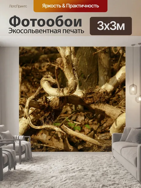 Фотообои Roots