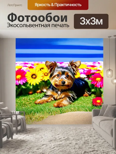 Фотообои милый йоркширский терьер лежит на траве