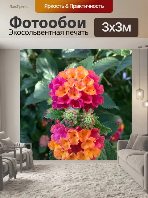 Фотообои Лантана
