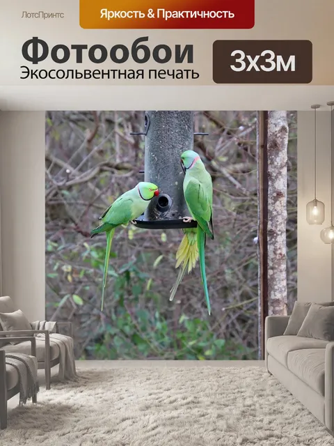 Фотообои Попугайчики в ожерелье